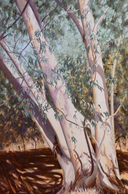 River Gum Sold